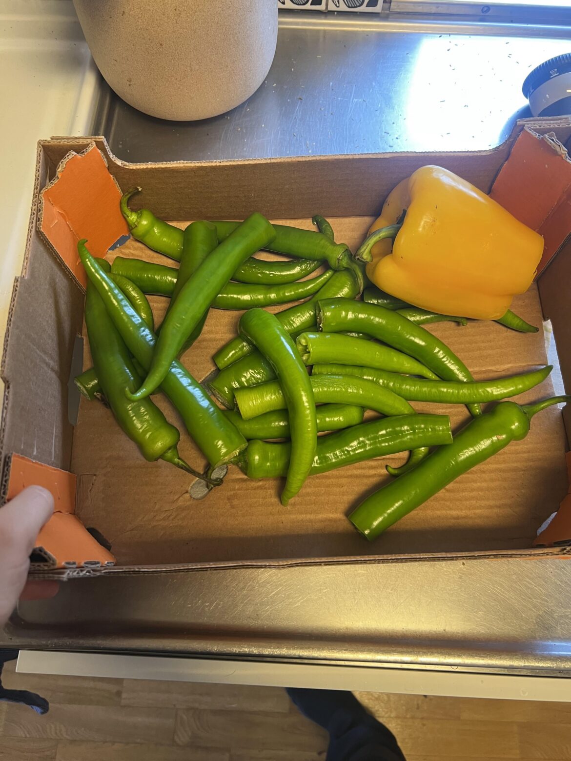 Lots of peppers- raw or roasted?