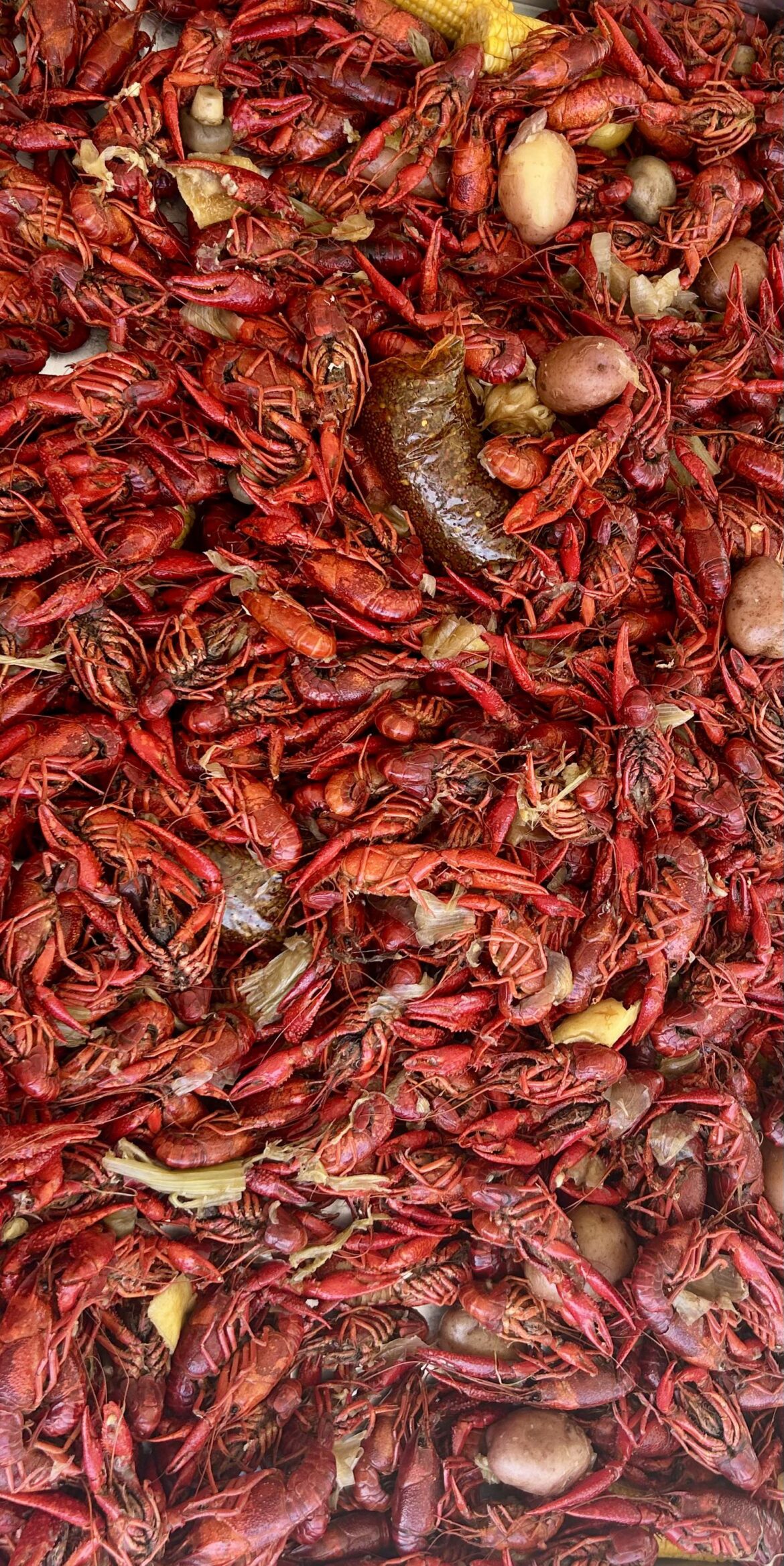 cool temps and crawfish