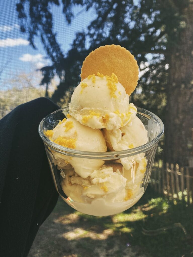 creami - lemon cookie ice cream (189)