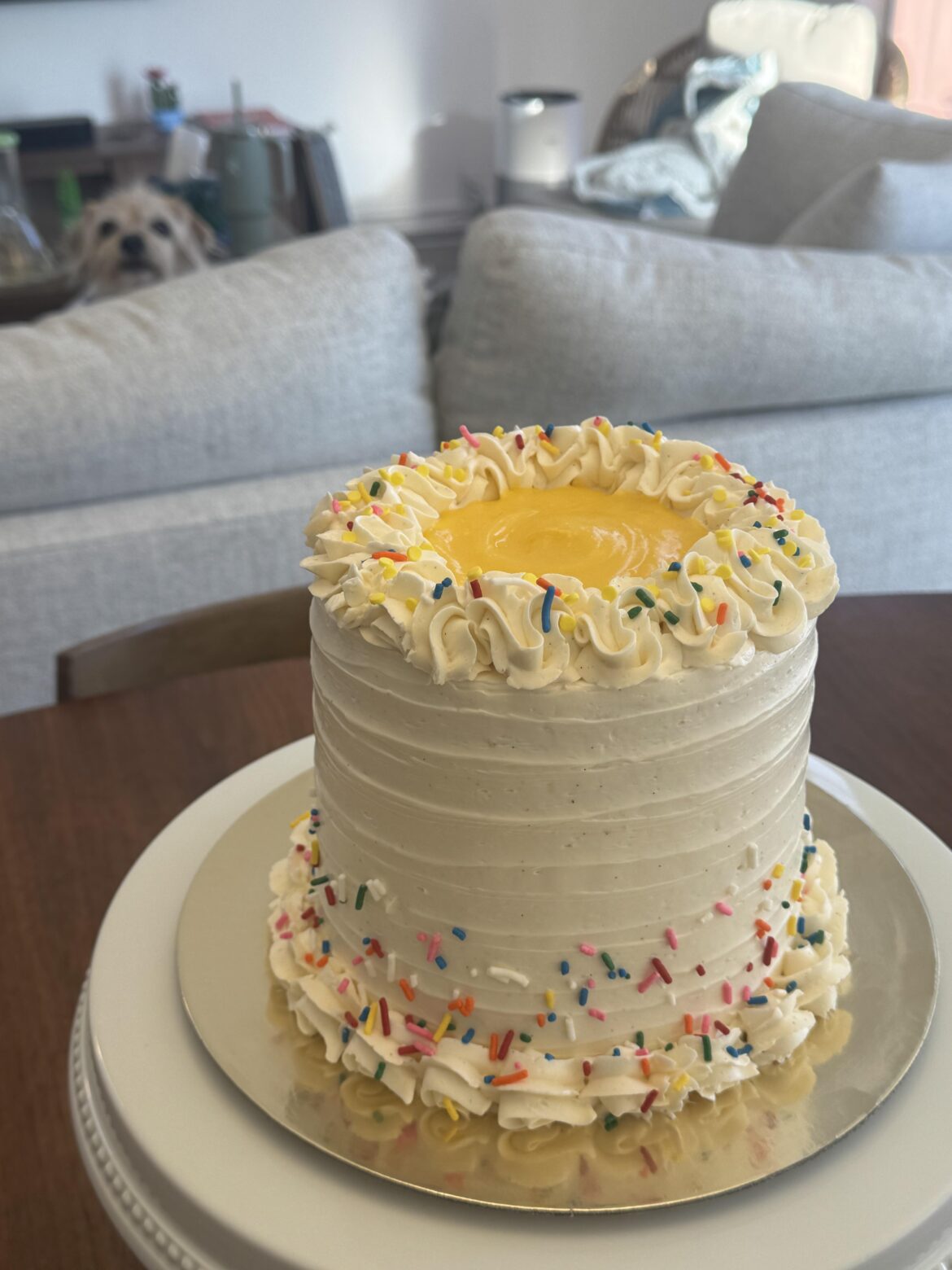 Birthday cake closely guarded by my dog