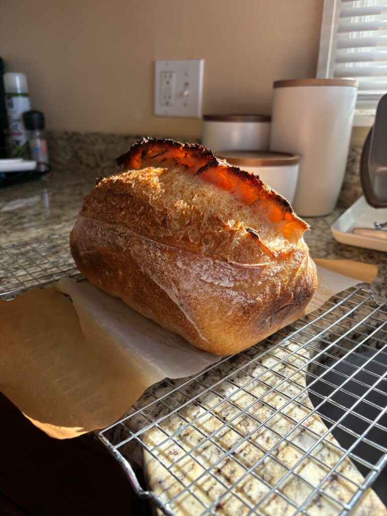 First successful loaf open to rating/tips!