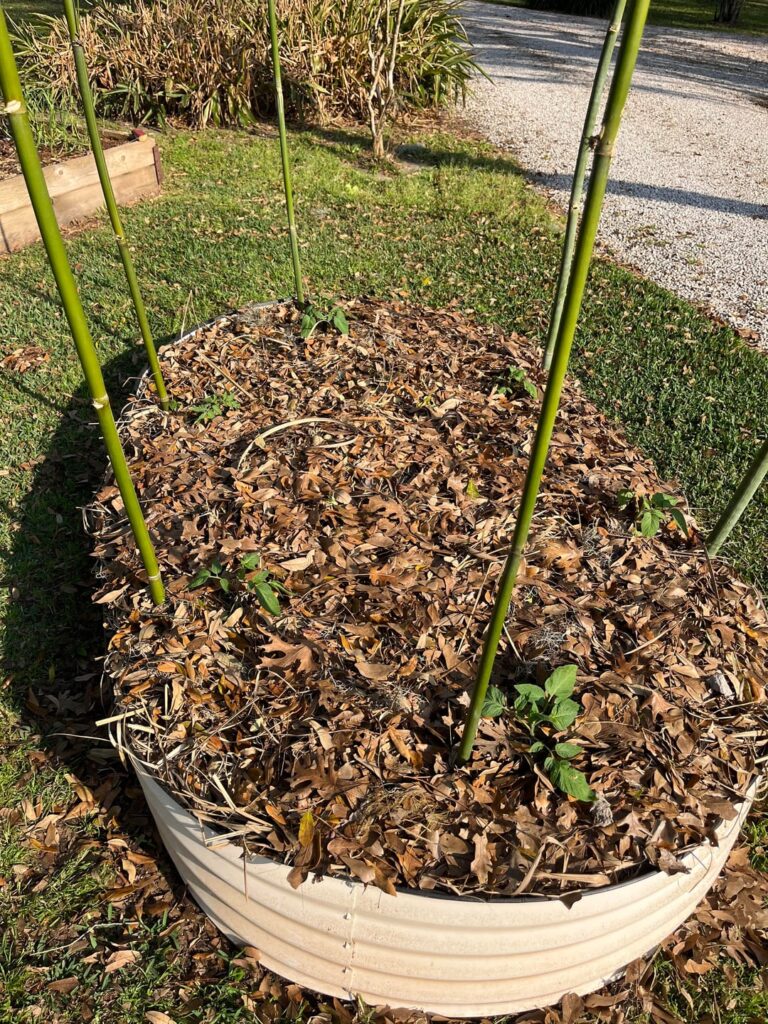 Starting to Feel Real