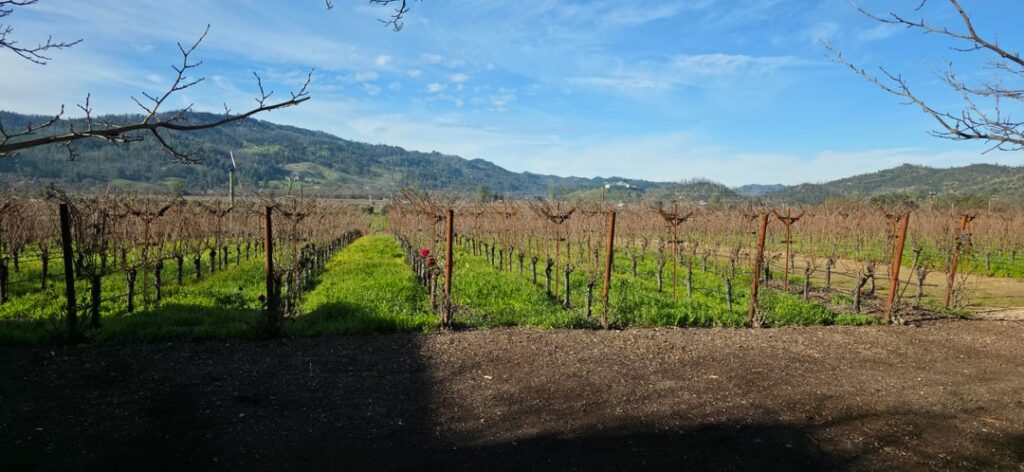 Napa trip report! Realm, Myriad, Davis, amazing day all around!