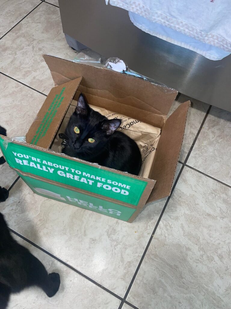 Really weird sample this week?