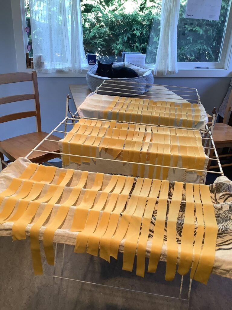 Homemade pappardelle and slow braised Ragu.