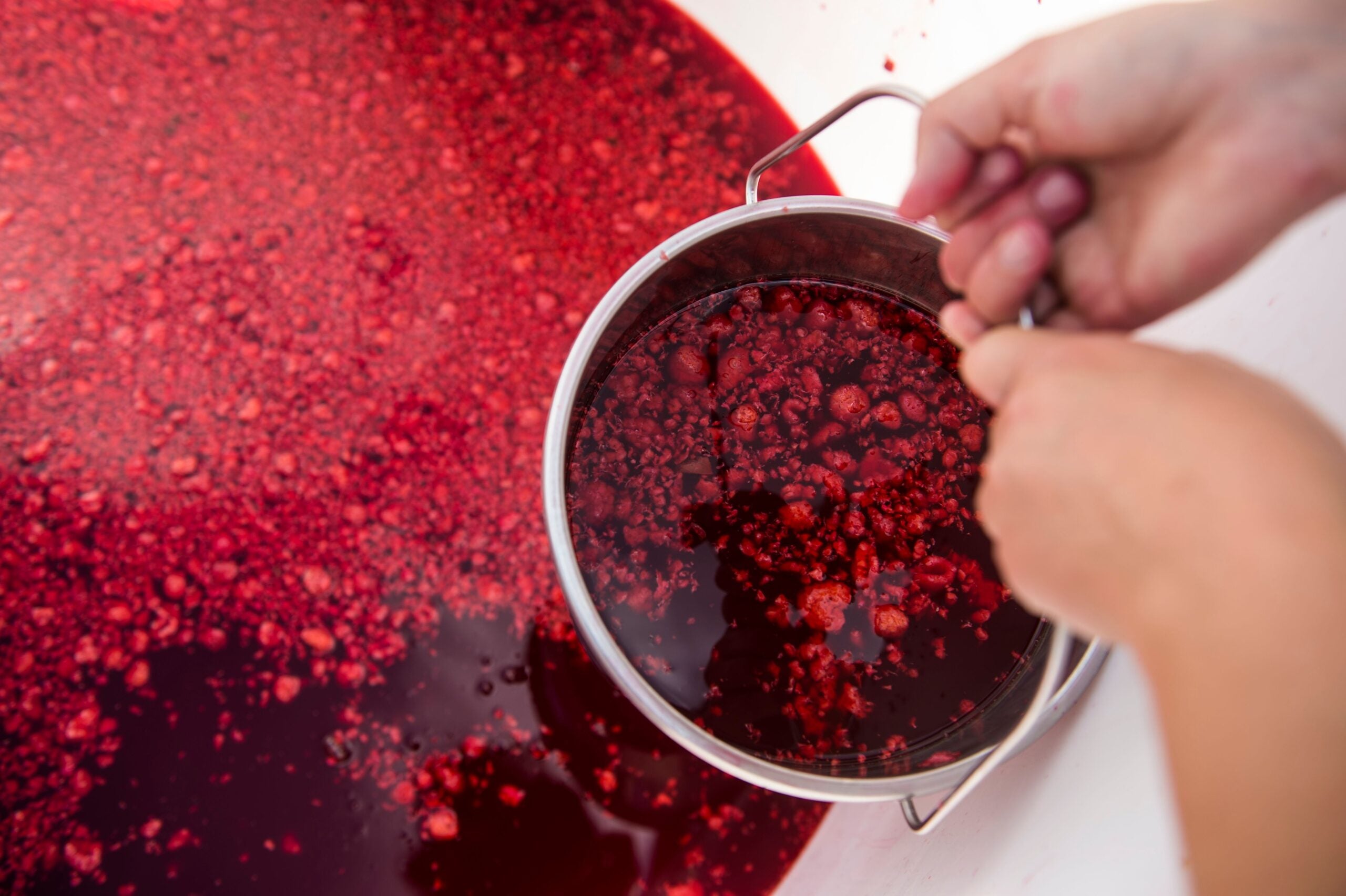 Capreolus distillery raspberry