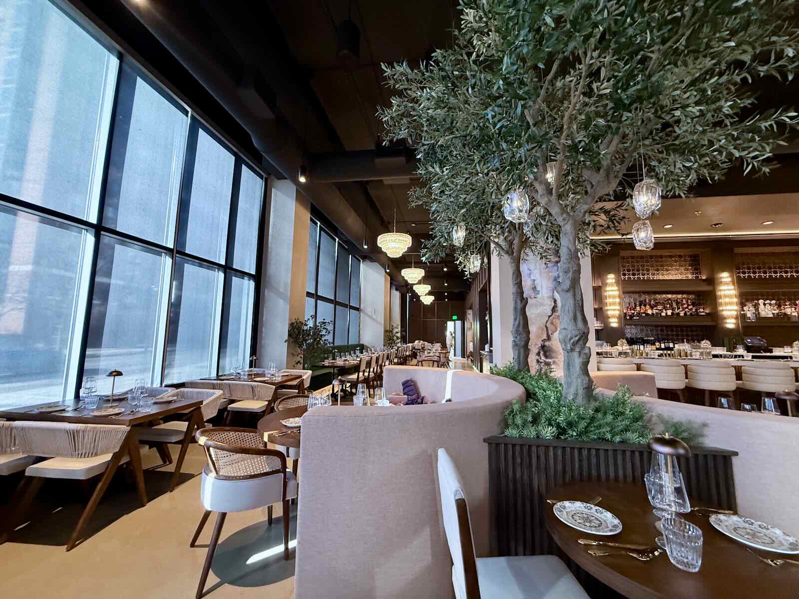 Olive trees in dining area