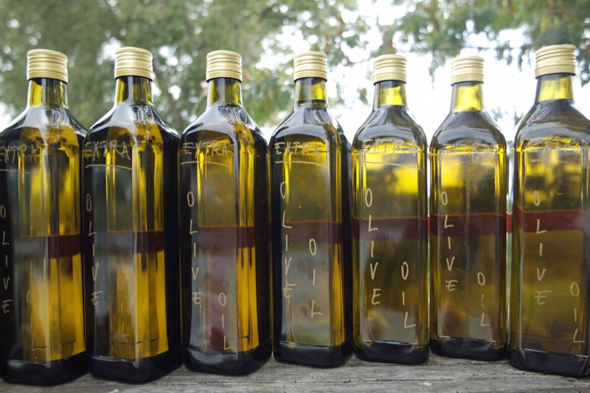 'If it is going to work anywhere, it is going to work here': Meet the makers of English olive oil