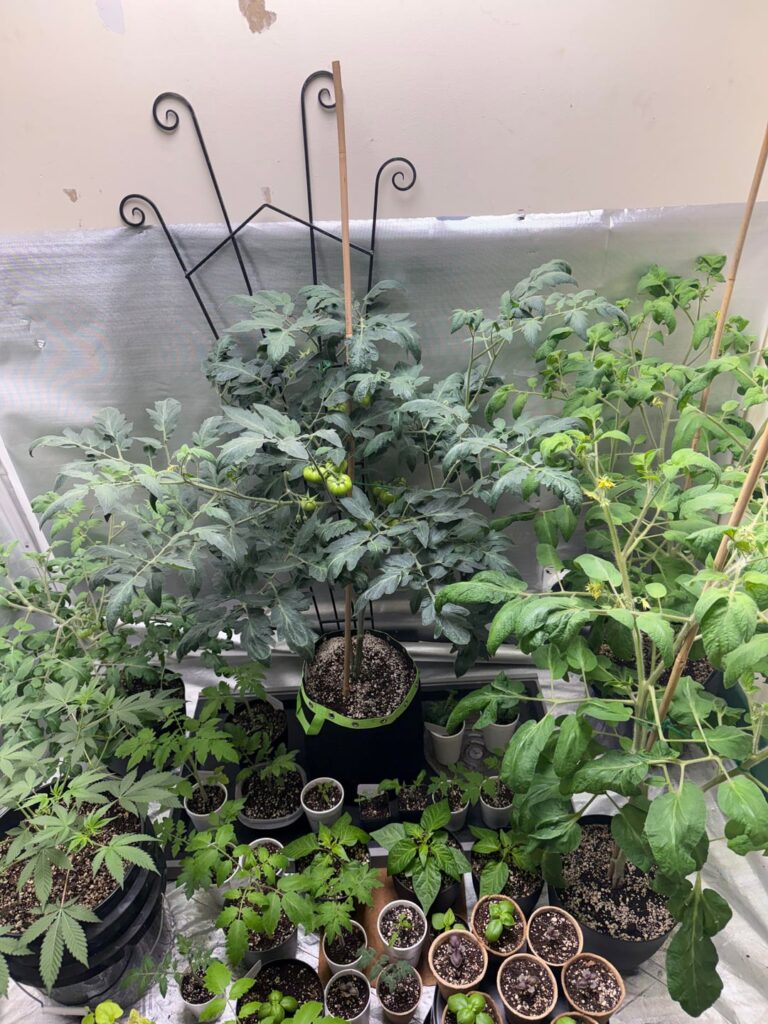 Smells amazing in here. 🍅