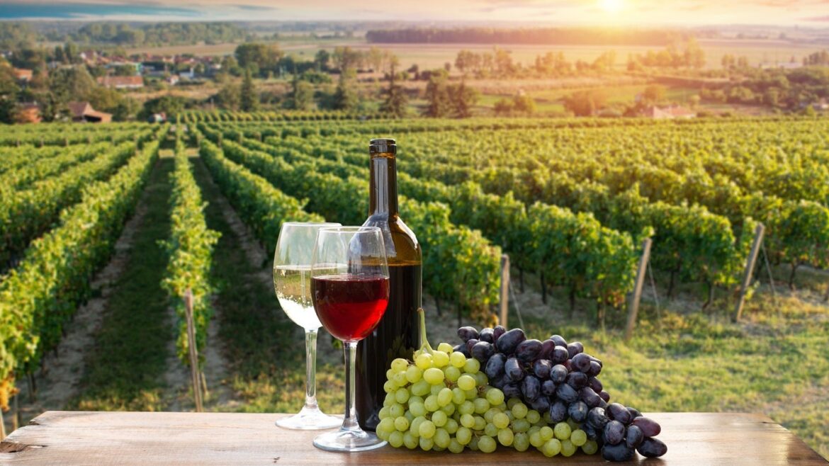 US tariffs dent Italy wine exports