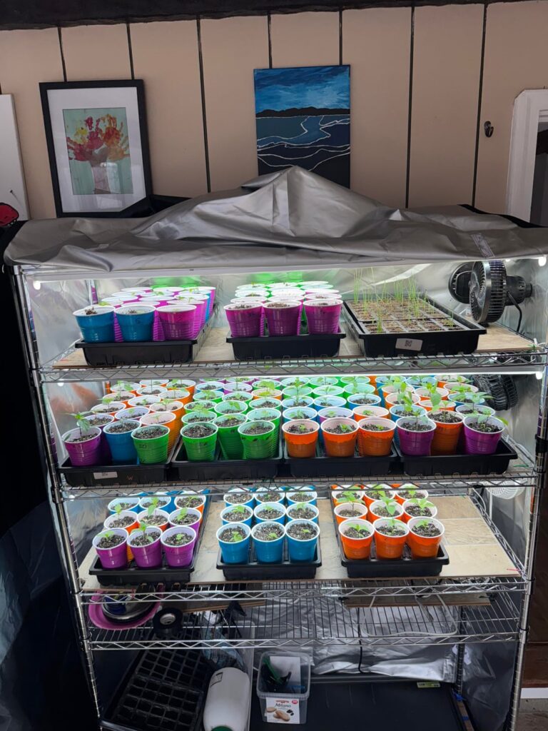 2026 is off and running!!