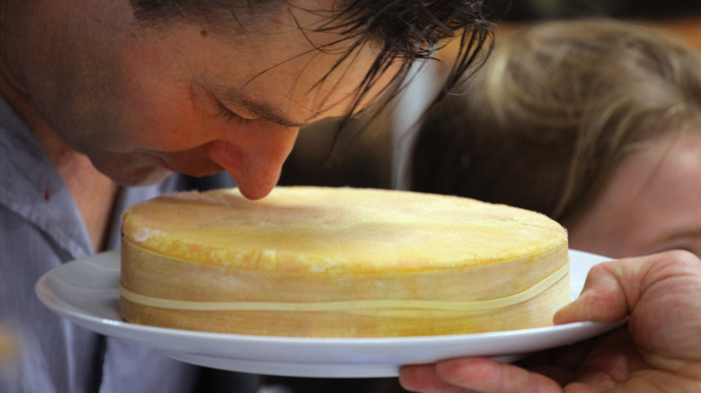A man with his nose really close to a whole wheel of Stinking Bishop as he smells it
