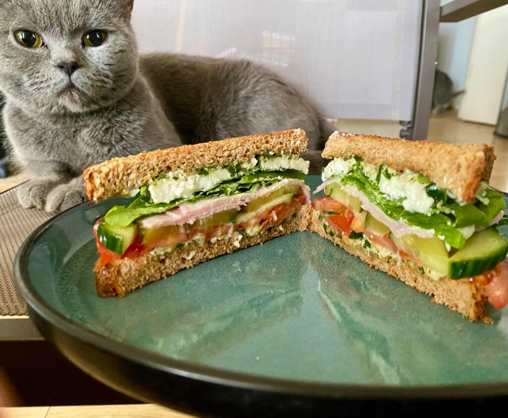 Breakfast Sandwich :)