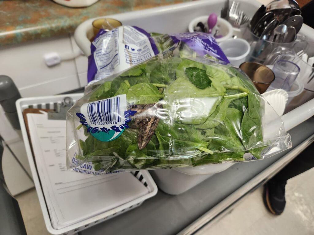 PSA: Always check your produce, even if it says, 'Ready to Eat'.