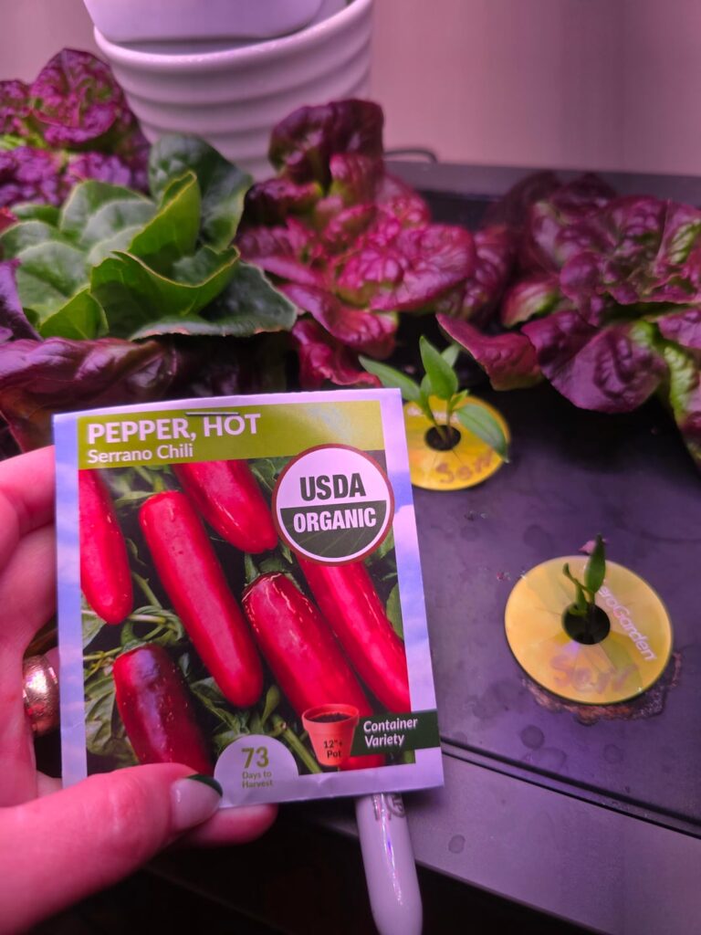 Are these the same just picked before they turn red?