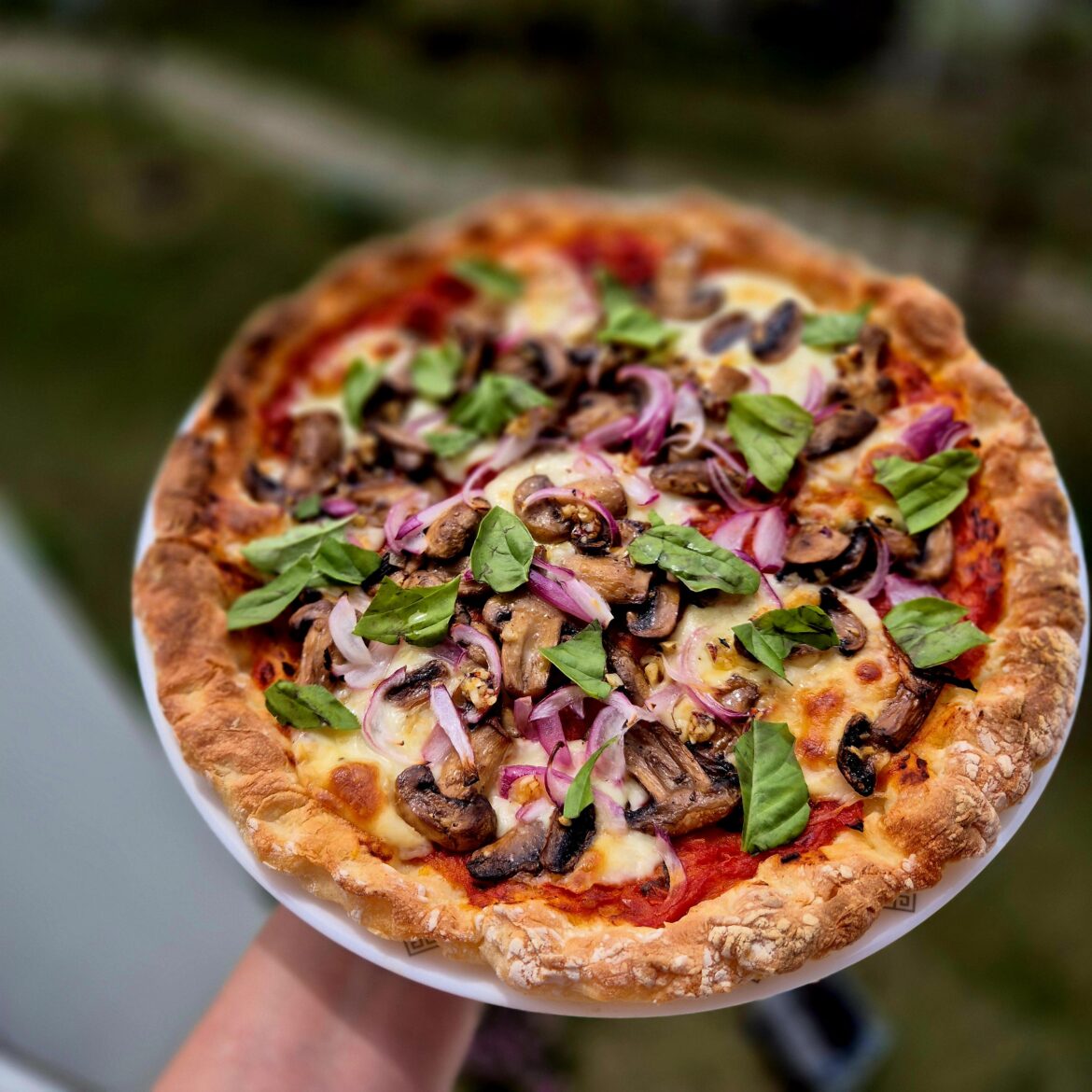 I, too, made an onion pizza