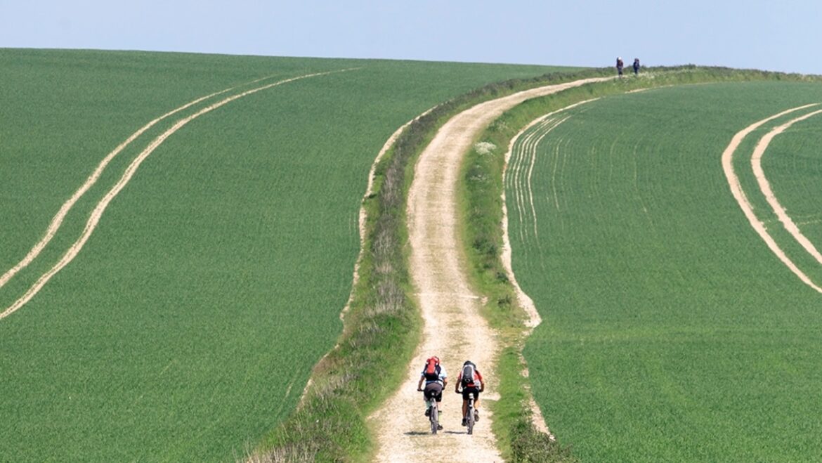 Why this English national park is becoming a wine-lover's retreat