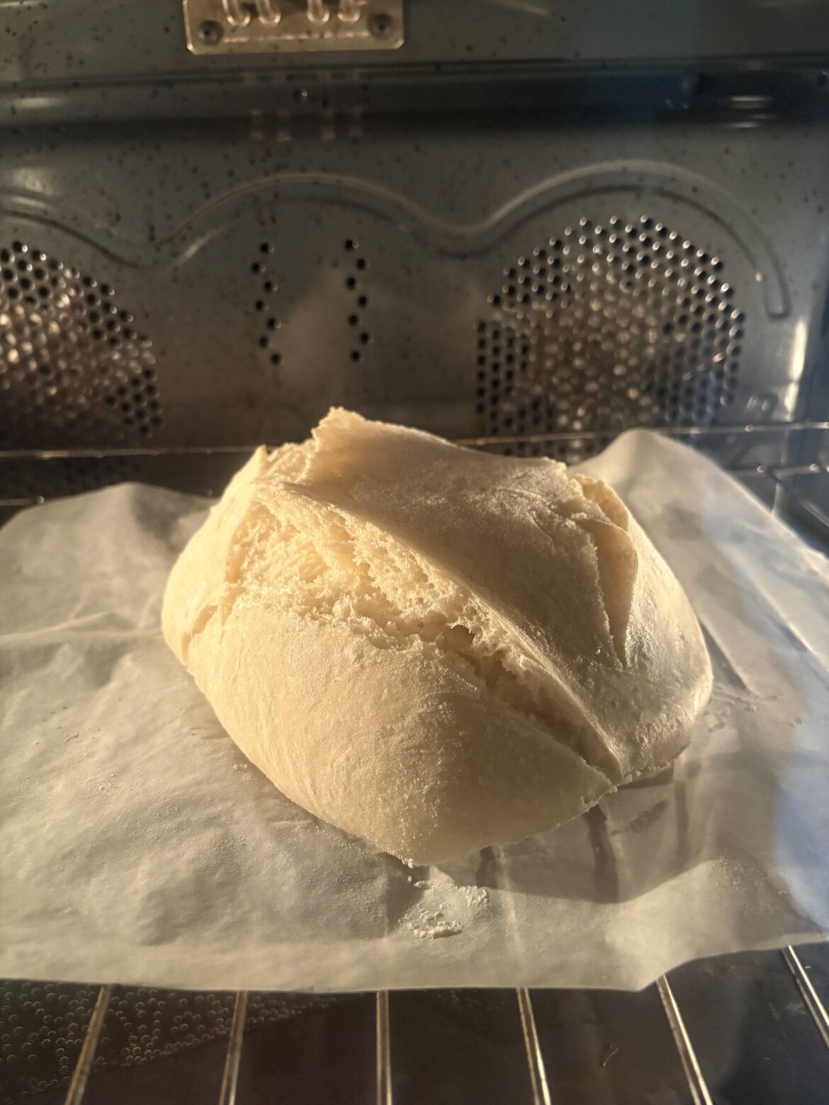 Why did my ciabatta explode like this lol