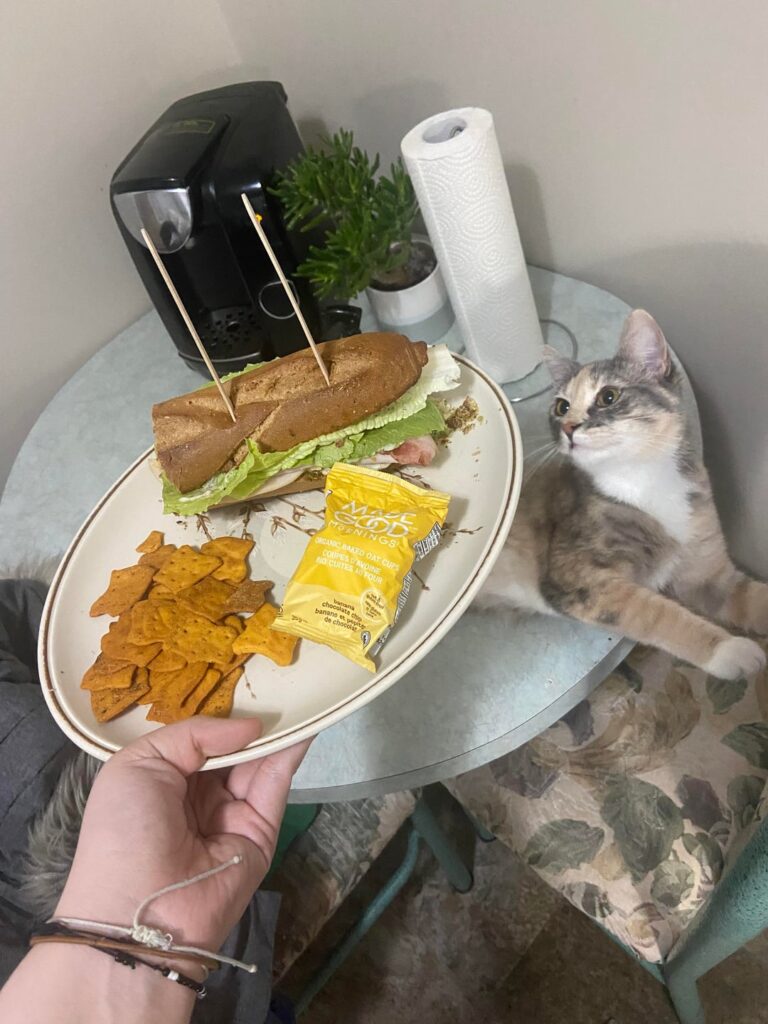 scooby doo sandwich at 2am