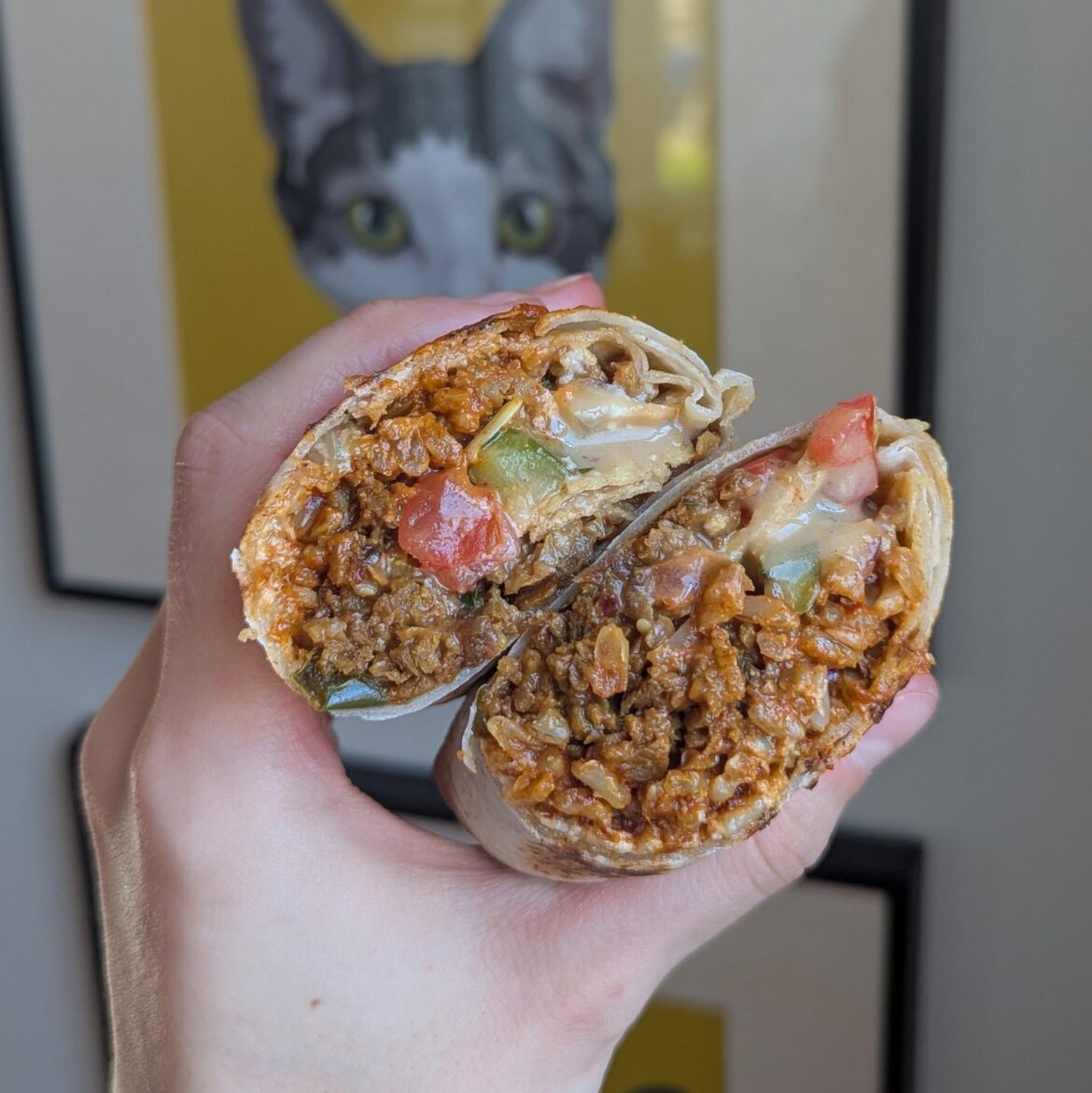 [homemade] Grilled shawarma burrito.