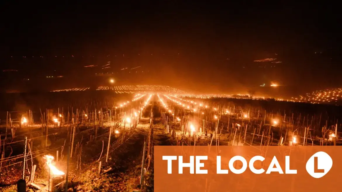French winemakers battle spring freeze