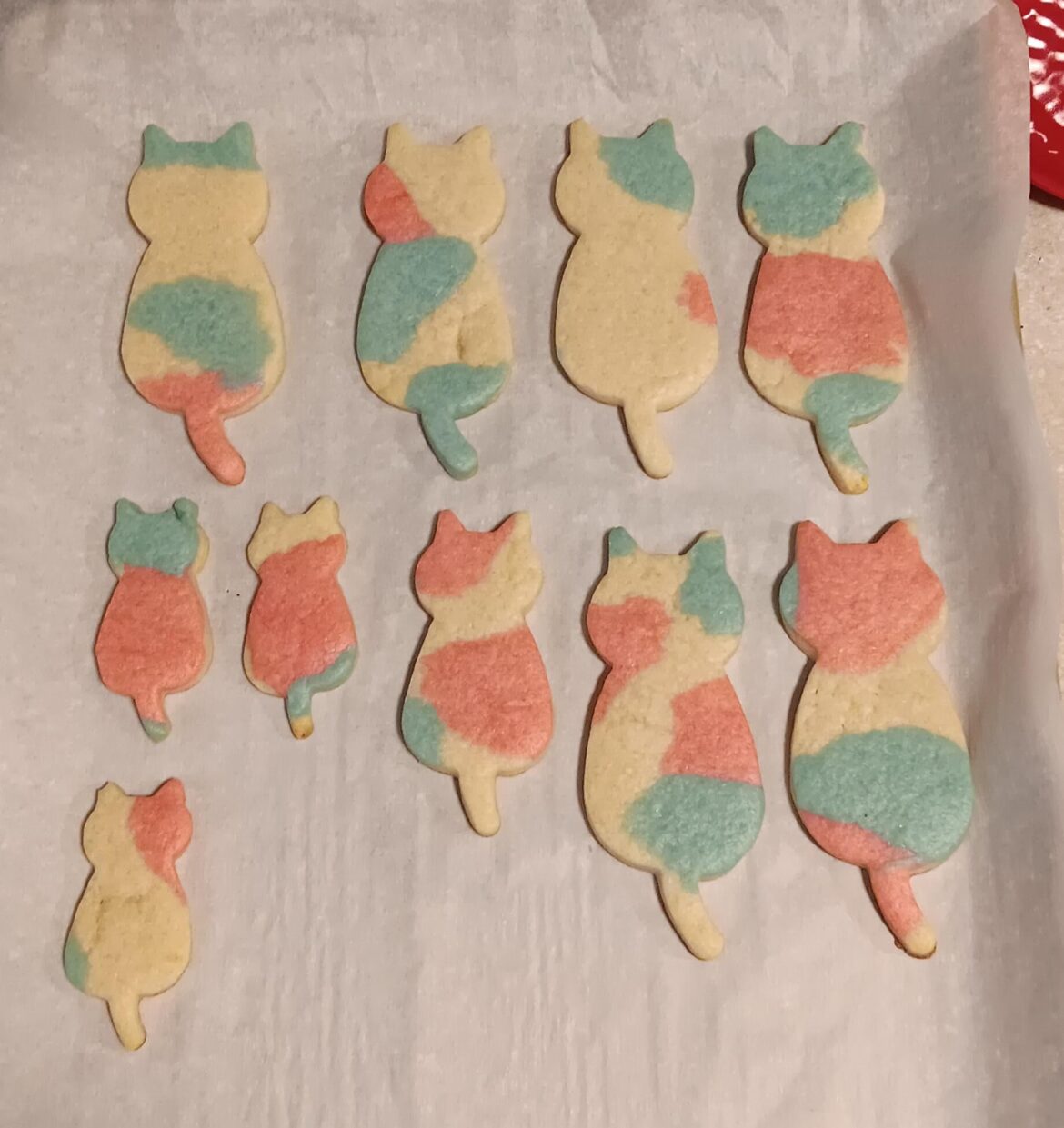 Happy trans day of visibility!