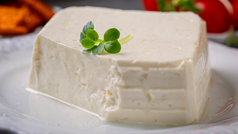 Italian stracchino cheese on white plate