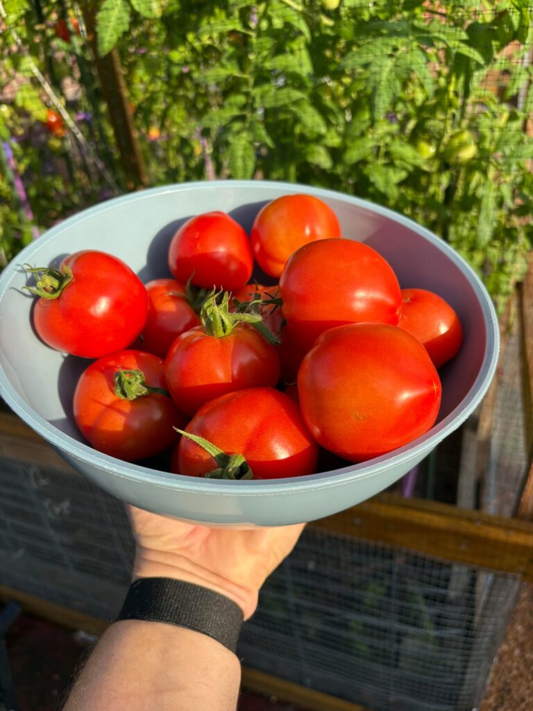 Today’s Haul plus 1