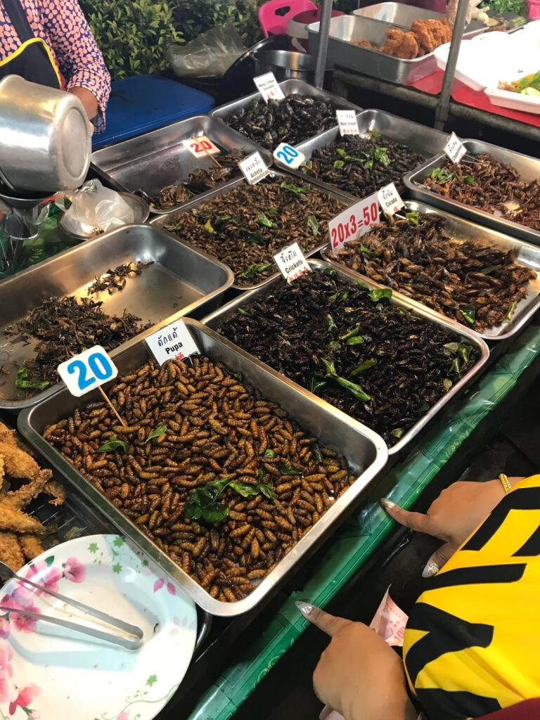 Street food market in Thailand