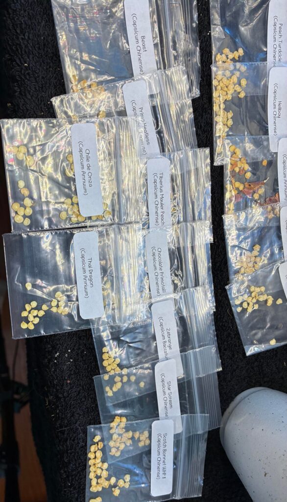 My WhiteHot order just came in