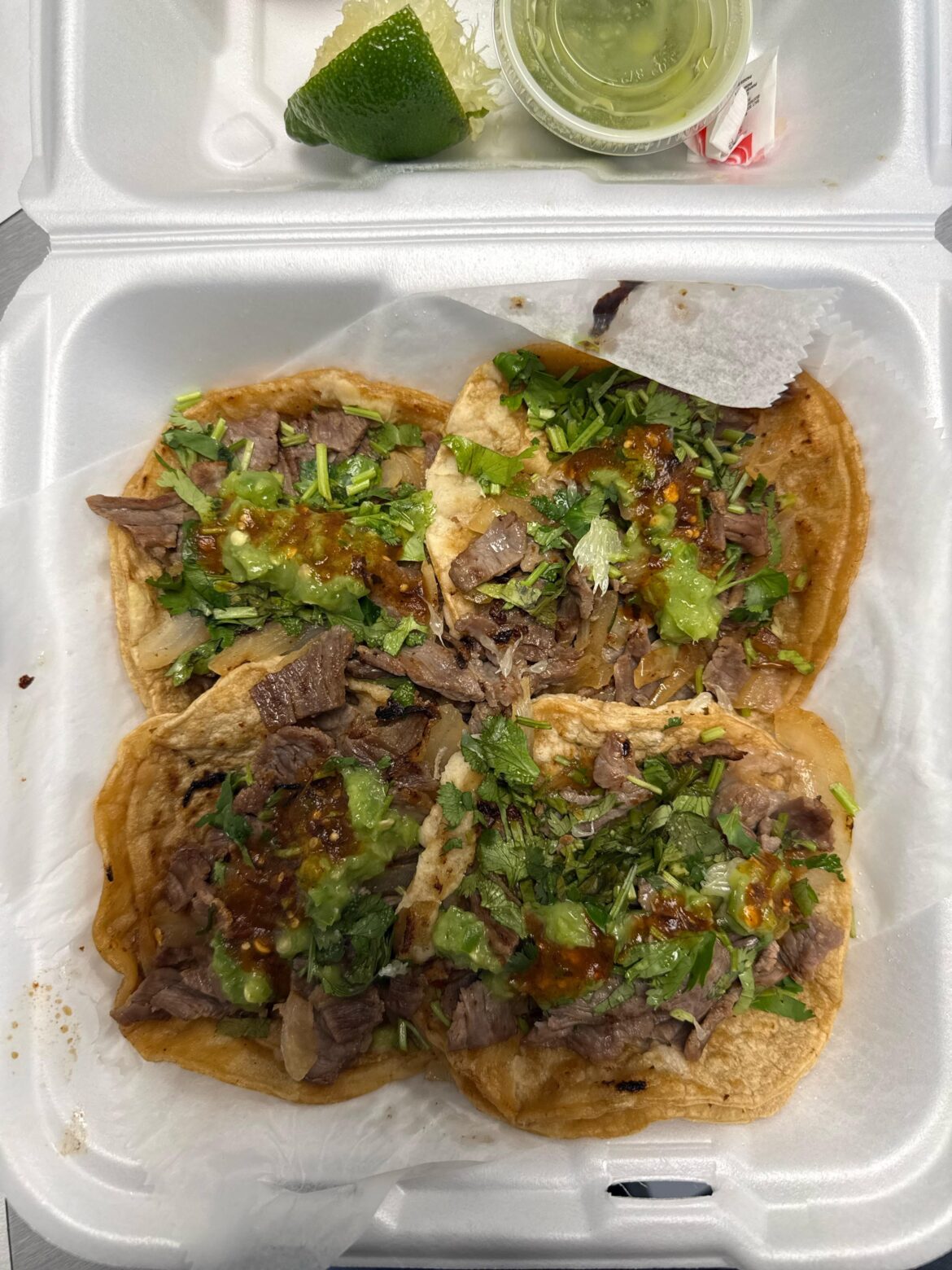 Cecina. Fort Wayne, In