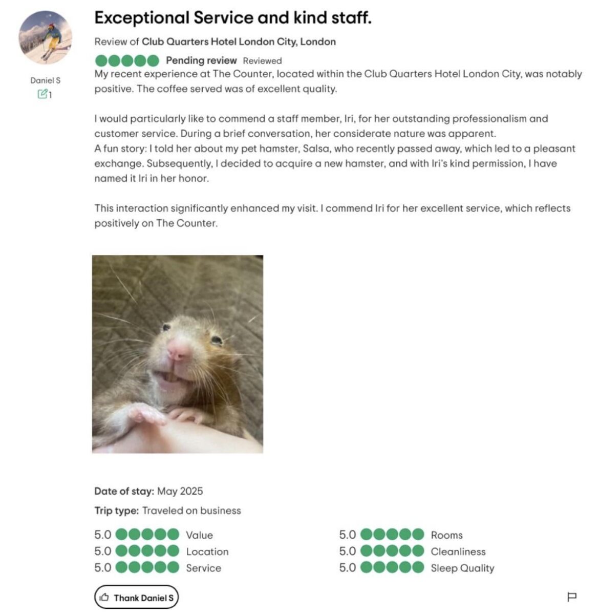 Wholesome tripadvisor review