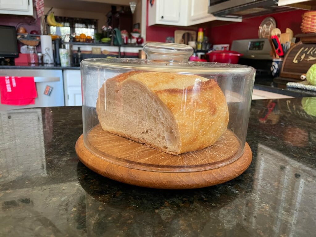 Storing sourdough in a cake display?