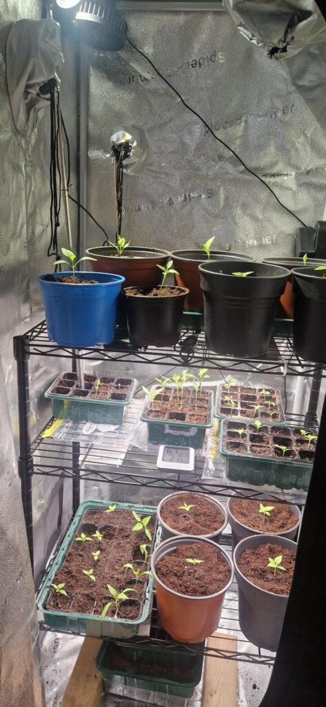 Good start of the year