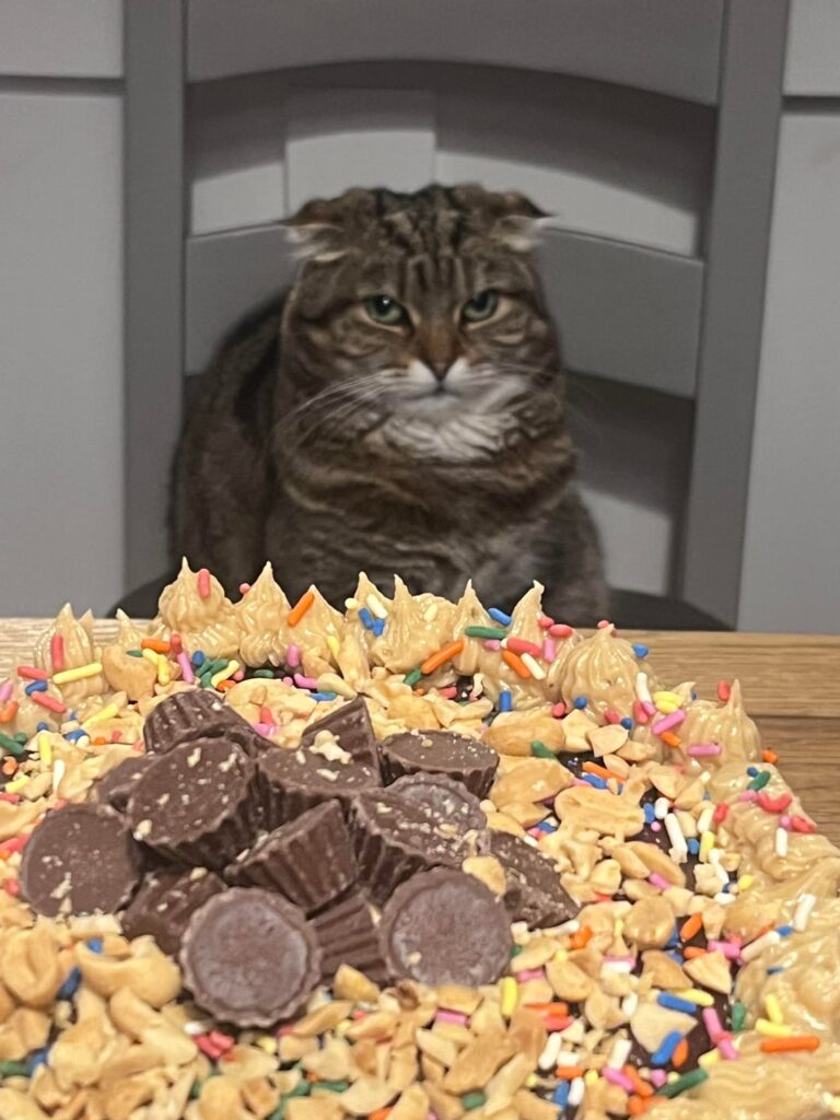 Not usually great at decorating but proud of this one!