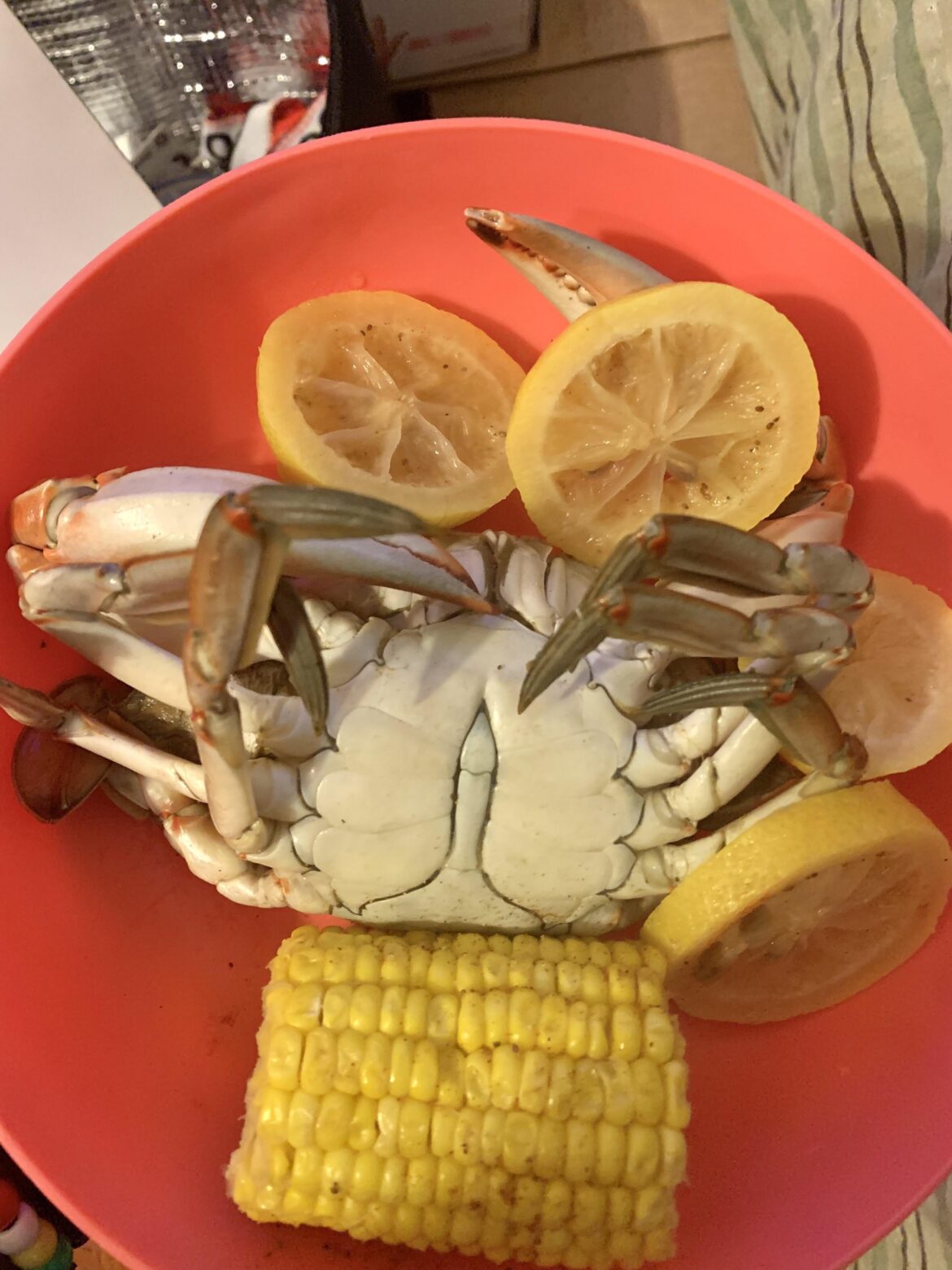 Caught a few crabs today 🦀 (not in my pants)