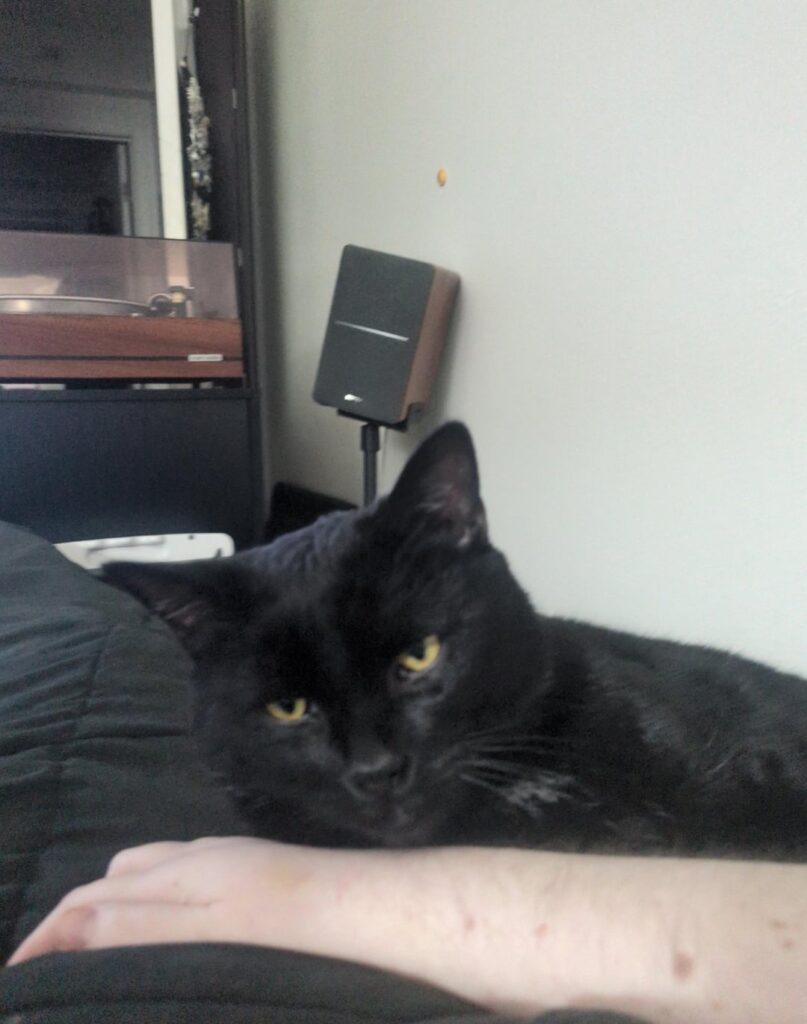 Storage For Disability Needs