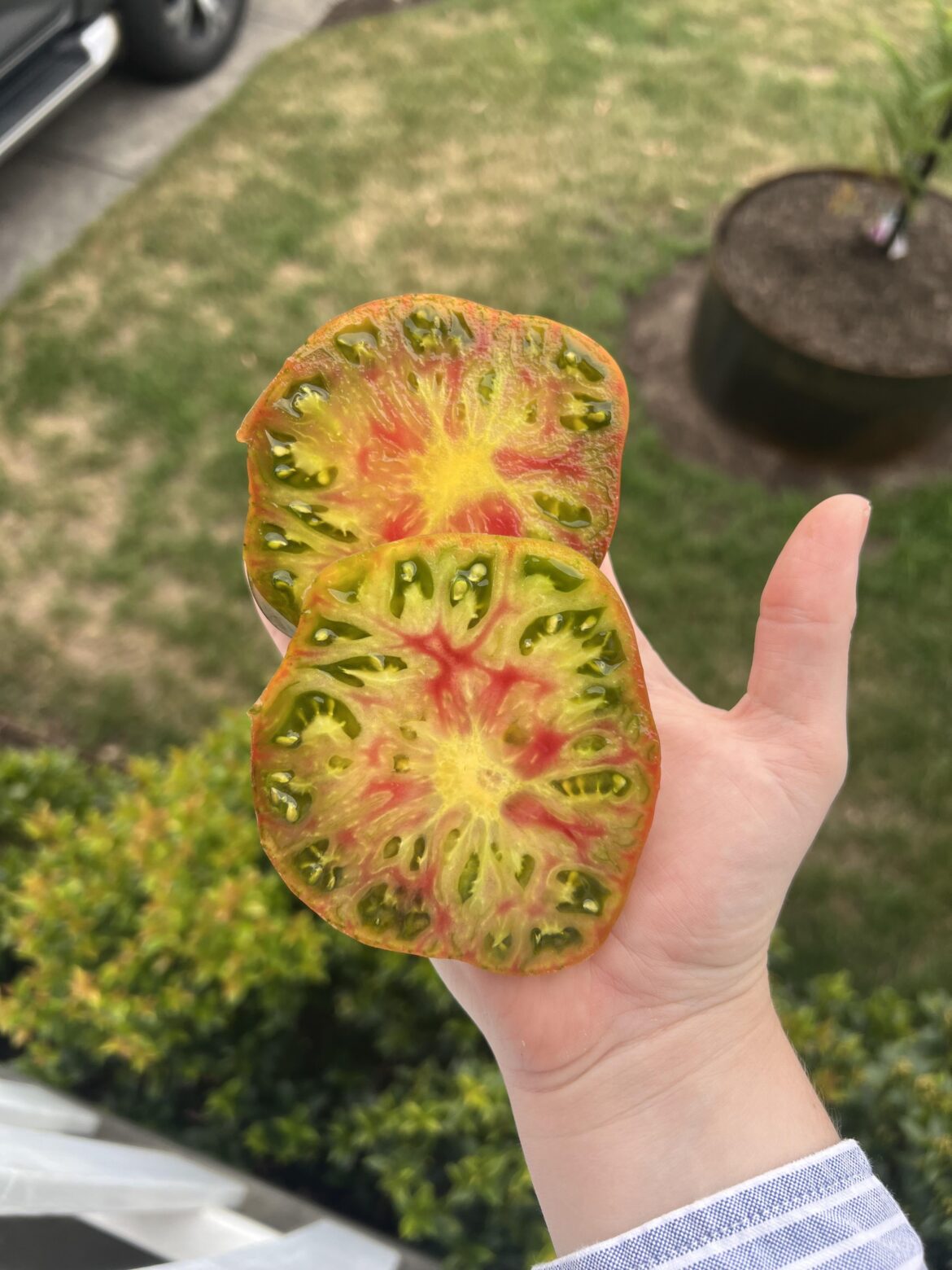 Perfection! You’re Kidding!!