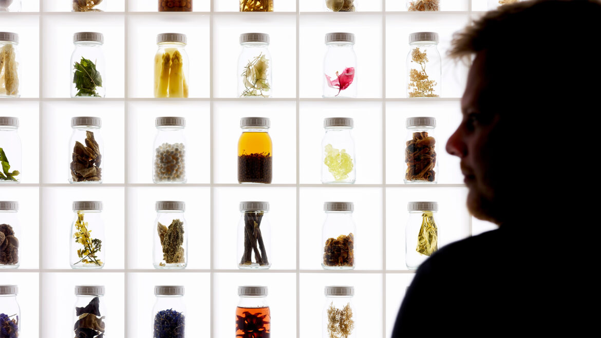 Is cooking art? Denmark is chewing over the divide between meal and masterpiece