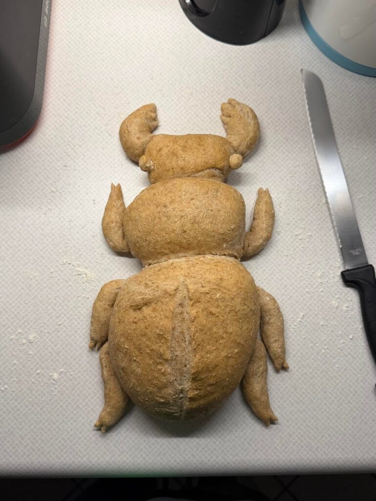 i made beetle bread!