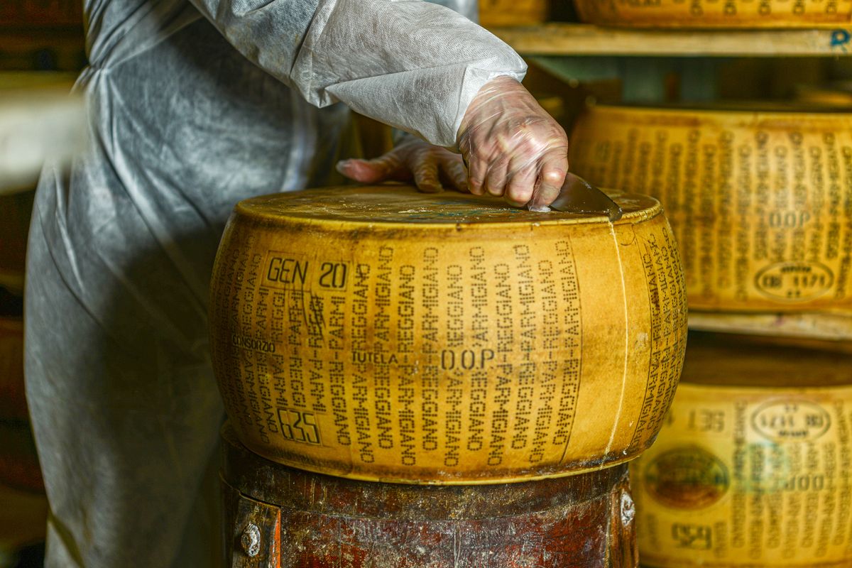 Man cutting parmesan wheel