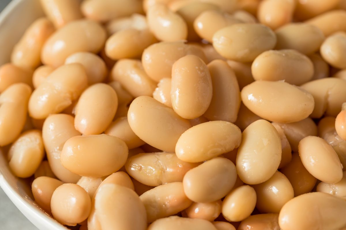 Raw White Organic Cannellini Beans in a Bowl