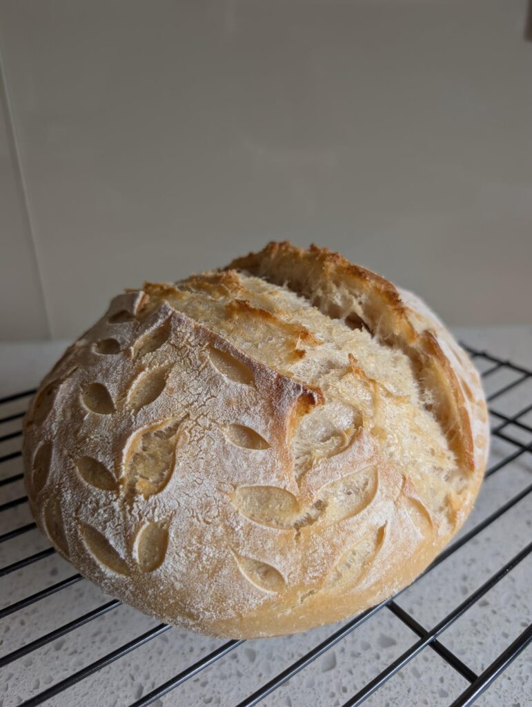 Attempt 3: How does she look?