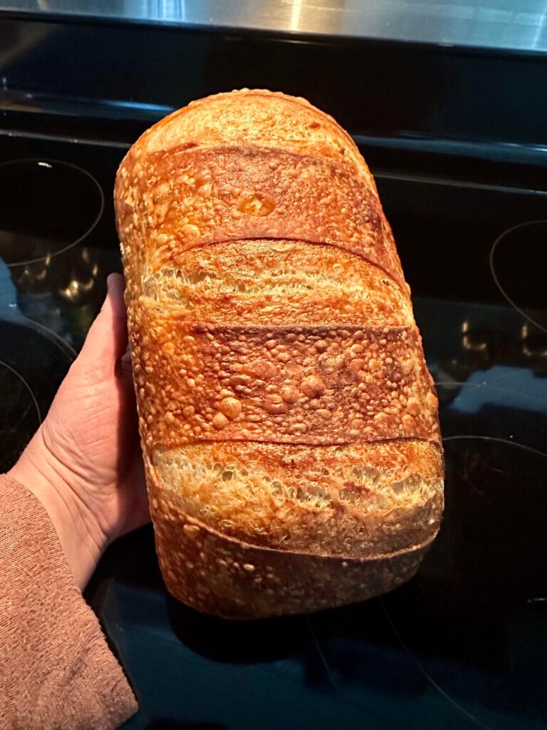 So proud of Bread Sheeran.