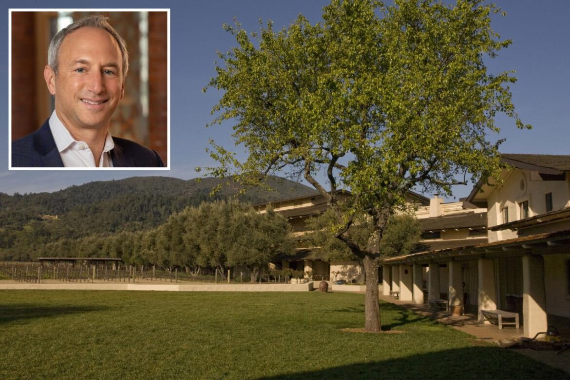 Napa Valley brand issues warning for wine industry as CEO quits