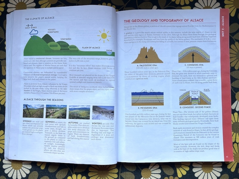 The Geology And Topography Of Alsace Is One Thing You Will Study On A French Wine Course At Yorkshire Wine School