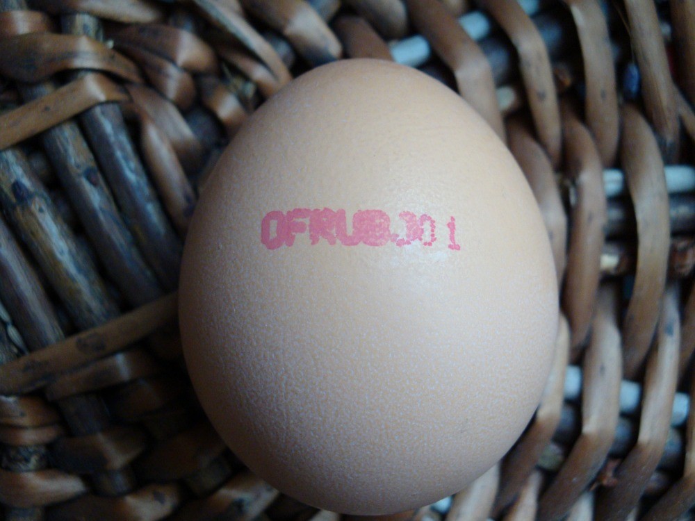 The Best Eggs in France (And How to Cook Them) The Best Eggs in France (And How to Cook Them)