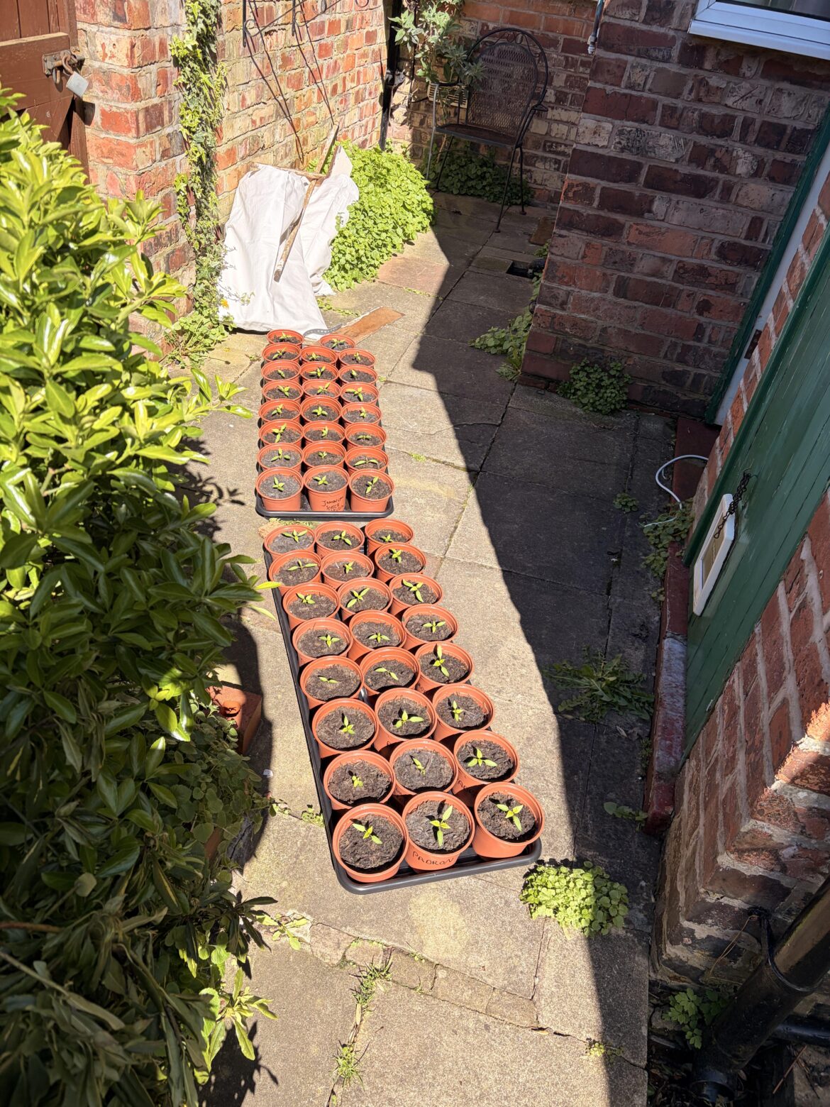 Day trip for the kids