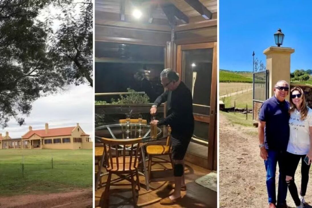 Galvão Bueno, legend of Brazilian TV, returned to SBT and takes care of a farm in RS with award-winning wines, olive oil, and cattle. Discover the property.