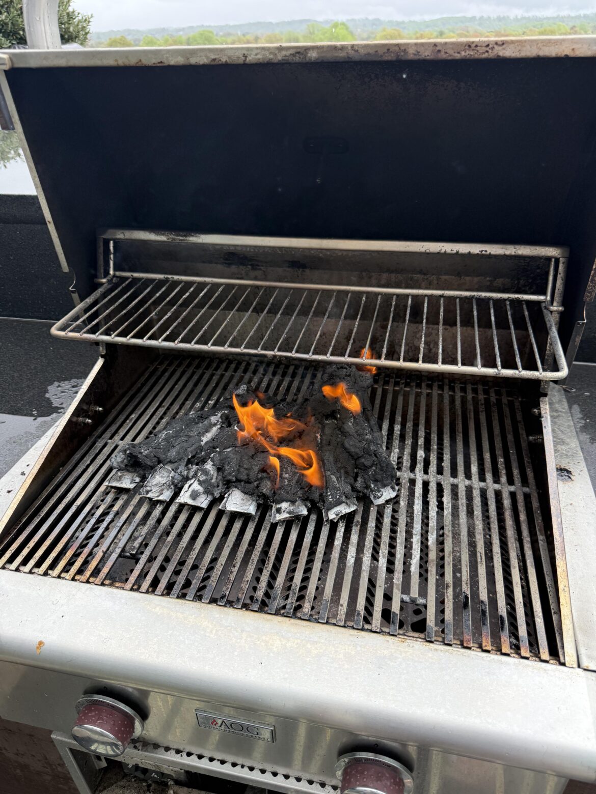 Why did my beef back ribs turn to charcoal?